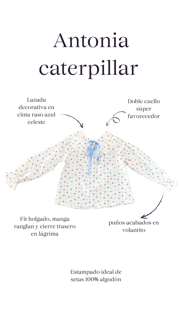 Antonia Caterpillar